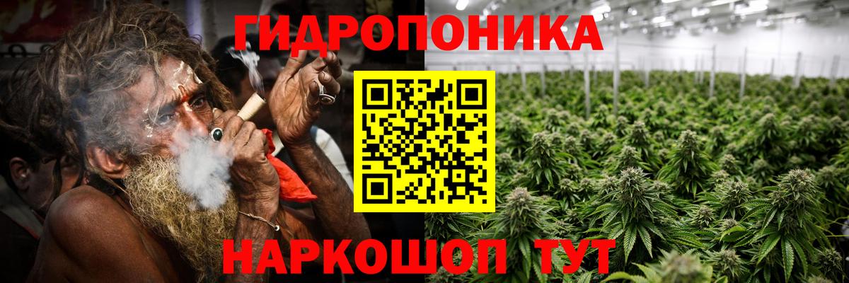 Марихуана White Widow  Вход с VPN  Марихуана планчик  Октябрьский 